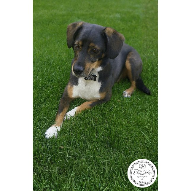 Papier Mousseline Riley (Créateur téléchargé)