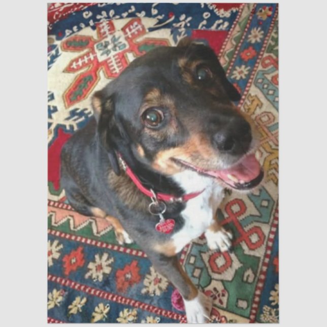 Papier Mousseline Riley 2 (Recto)