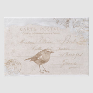 Papier Mousseline Robin Bird Carte Postale Découpage Français Bleu
