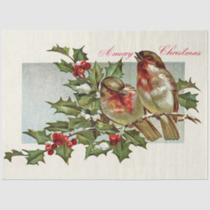 Papier Mousseline Robins vintages Et Mistletoe
