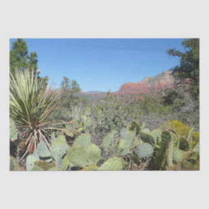 Papier Mousseline Rochers rouges et cactus I