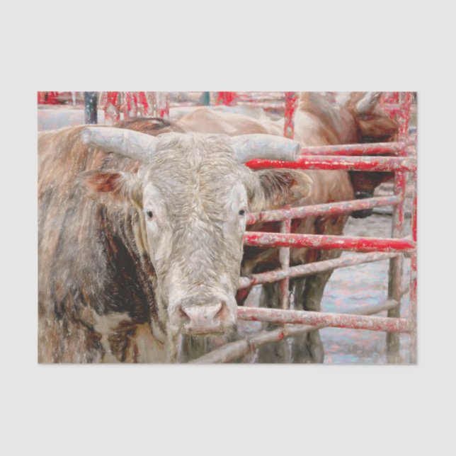 Papier Mousseline Rodeo Bull Russe Country Western (Recto)