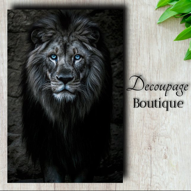 Papier Mousseline Roi de nuit (Night King Decoupage Tissue Paper)