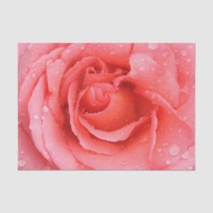 Papier Mousseline Romantique Rose rose rouge gouttes d'eau