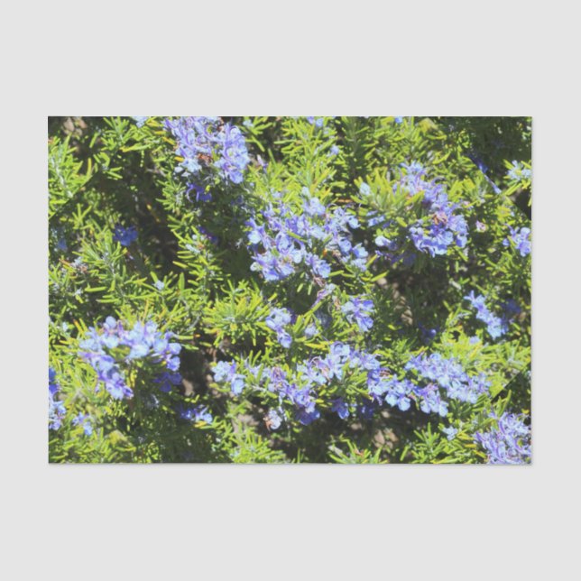 Papier Mousseline romarin à fleurs (Recto)