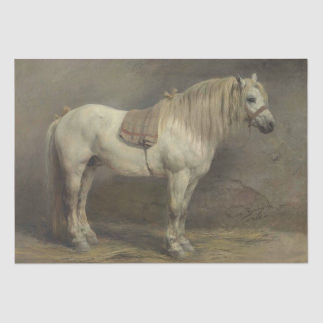 Papier Mousseline Rosa Bonheur | Cheval gris en stabilité (Recto)