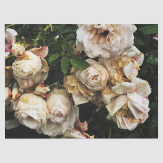 Papier Mousseline Rose blanche simple