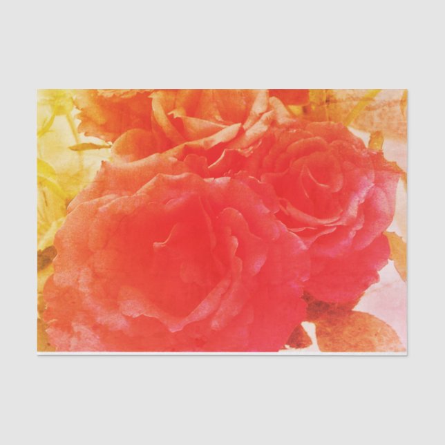 Papier Mousseline Rose de rose (Recto)