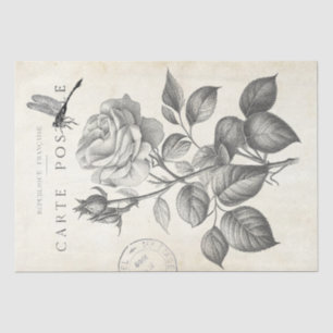 Papier Mousseline Rose Fleur Dragonfly French Postmark Decoupage