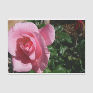 Papier Mousseline Rose rose et bud Garden Floral