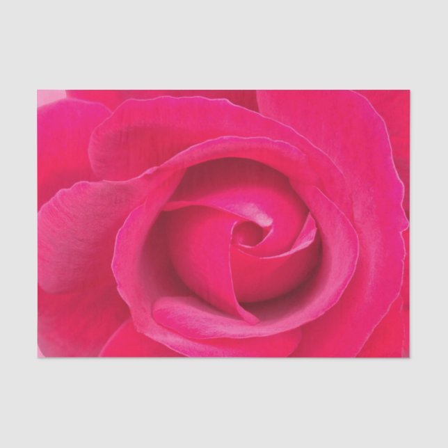 Papier Mousseline Rose rose rouge romantique (Recto)