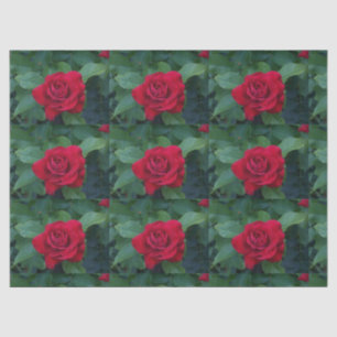 Papier Mousseline Rose rouge de près