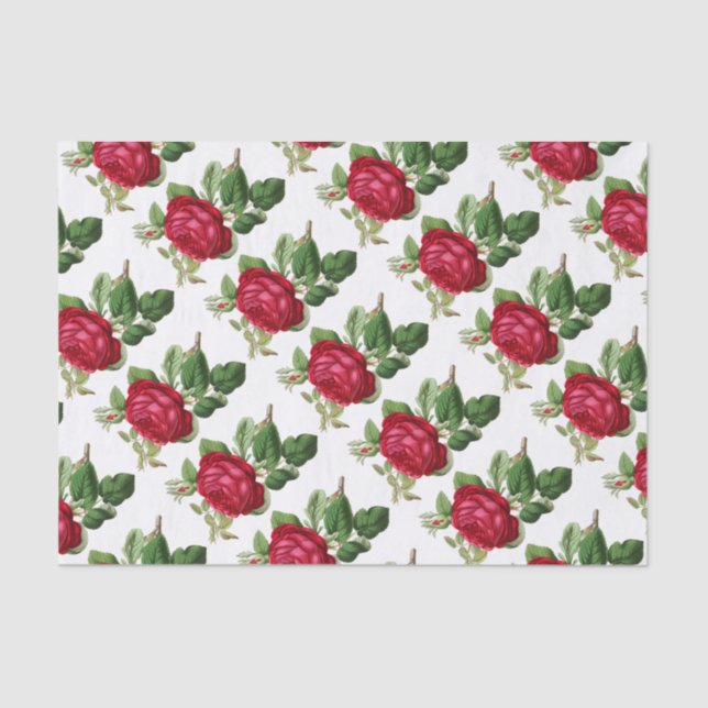 Papier Mousseline Rose rouge floral vintage élégant (Recto)