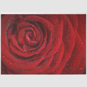 Papier Mousseline Rose rouge HAMbyWG