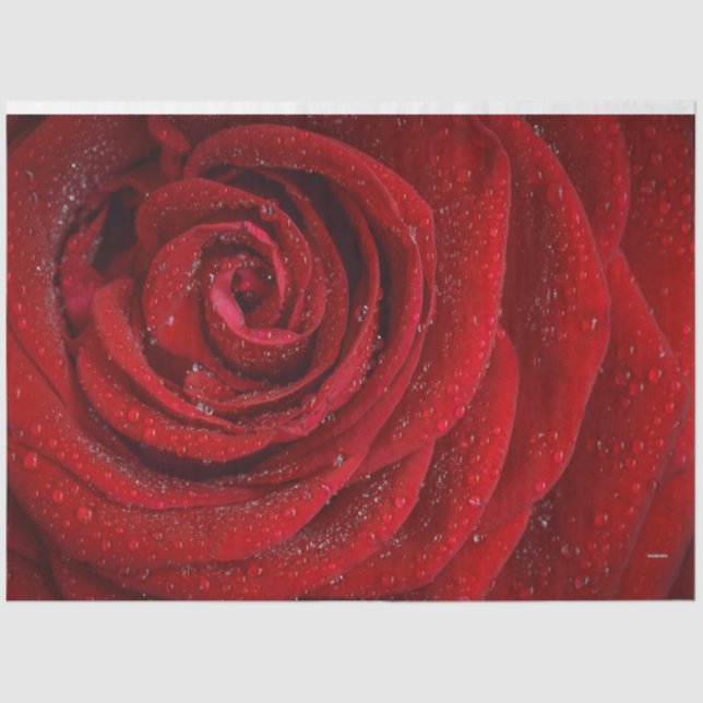 Papier Mousseline Rose rouge HAMbyWG (Recto)