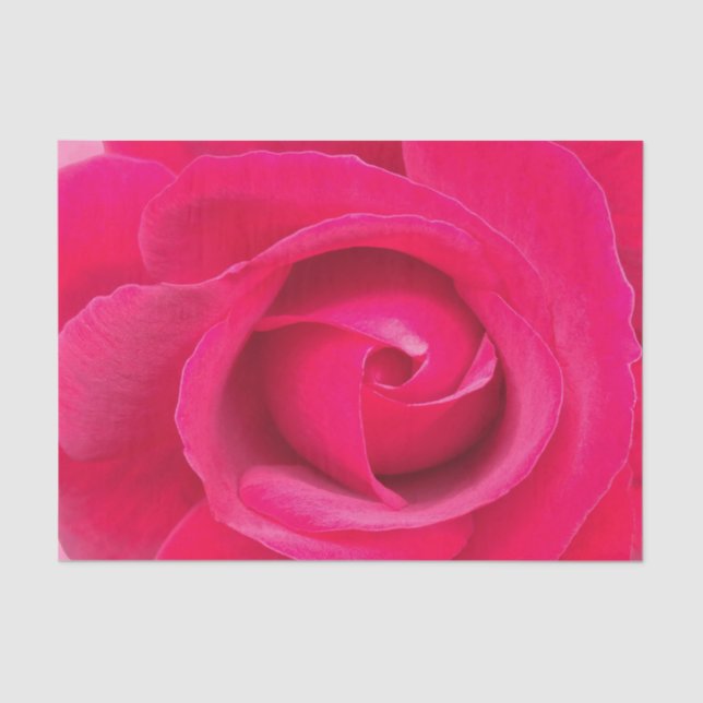 Papier Mousseline Rose rouge romantique (Recto)