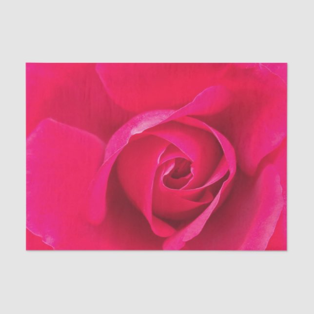 Papier Mousseline Rose rouge romantique v2 (Recto)