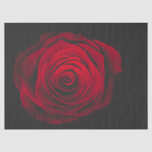 Papier Mousseline Rose rouge sur effet vintage arrière - plan noir