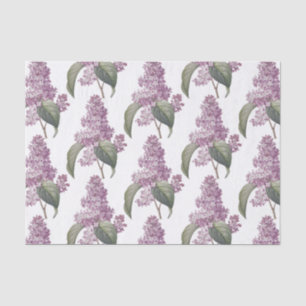 Papier Mousseline Rose Vieille Mode Fleur de Lilas Imprimé Découpage
