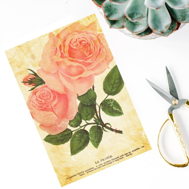 Papier Mousseline Rose vintage (Créateur téléchargé)