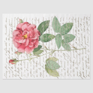 Papier Mousseline Rose Vintage français Script Gold Lg Découpage 