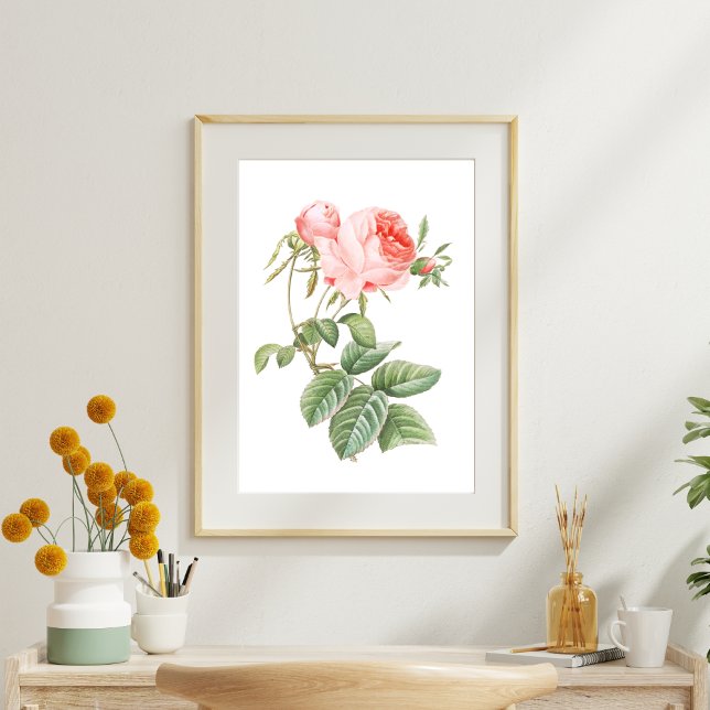 Papier Mousseline Rose Vintage rose Redouté (Créateur téléchargé)
