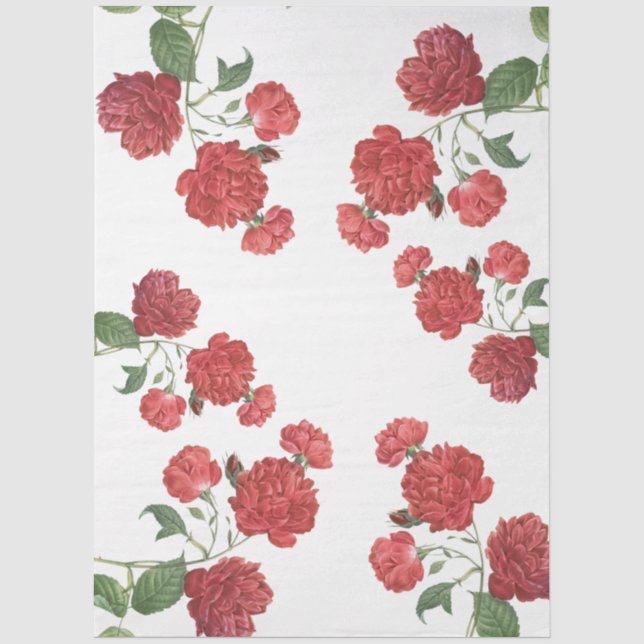Papier Mousseline Roses de Chou Rouge (Recto)