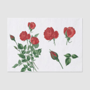 Papier Mousseline Roses et bourgeons très rouges en style Vintage