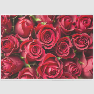 Papier Mousseline Roses rouges