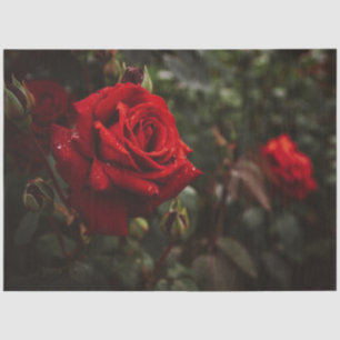 Papier Mousseline Roses Rouges Belle Florale 20x30 Découpage