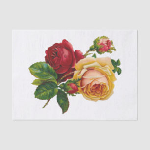 Papier Mousseline Roses rouges, brunes et roses