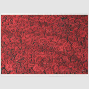 Papier Mousseline Roses rouges HAMbyWG