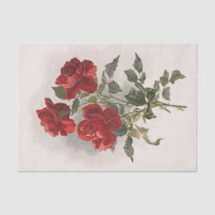 Papier Mousseline Roses rouges Vintages (pas AI) de carte postale