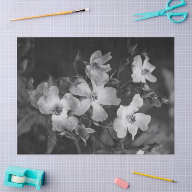 Papier Mousseline Roses sauvages  (Artisanat)