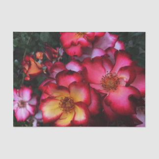 Papier Mousseline Roses sauvages