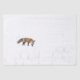 PAPIER MOUSSELINE ROUGE FOX SUR PAPIER EN TISSU DE NEIGE