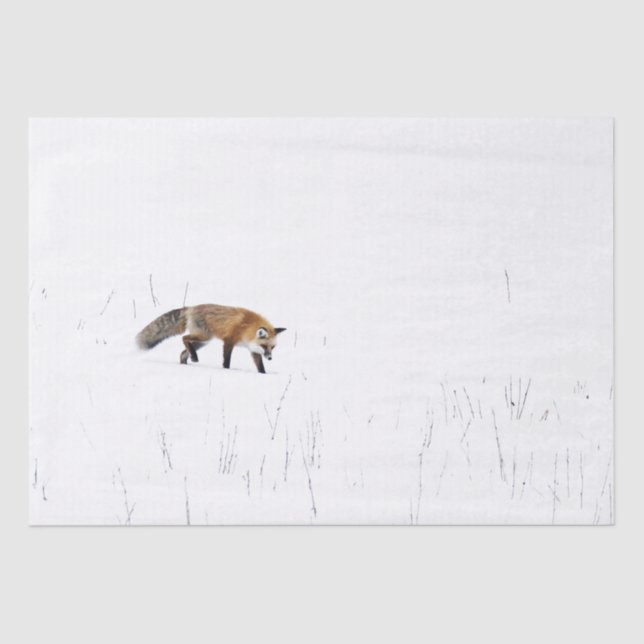 PAPIER MOUSSELINE ROUGE FOX SUR PAPIER EN TISSU DE NEIGE (Recto)