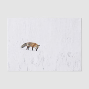 PAPIER MOUSSELINE ROUGE FOX SUR PAPIER EN TISSU DE NEIGE