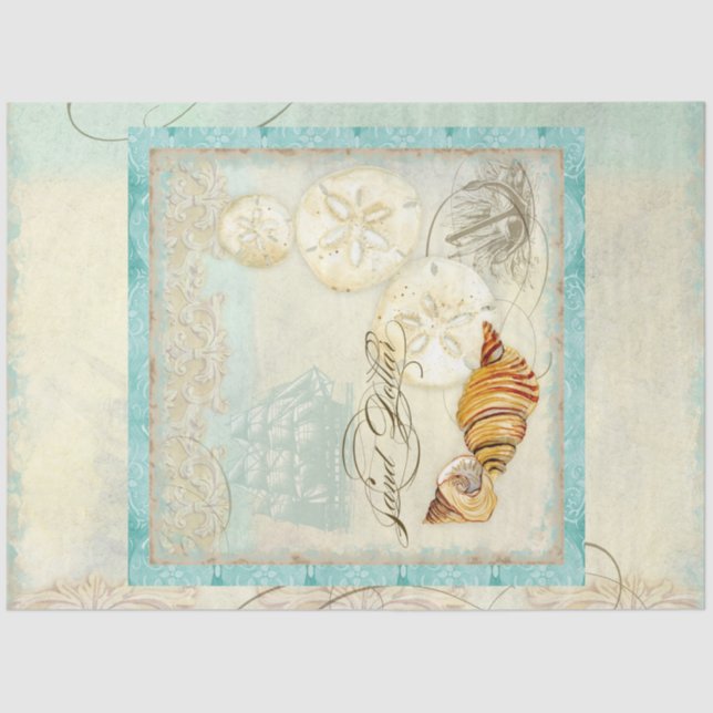 Papier Mousseline Sable Dollar Beach Coquillages Balnéaire Découpage (Recto)