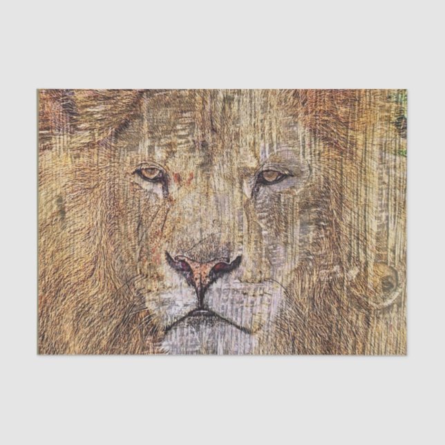Papier Mousseline safari en Afrique faune majestueux lion (Recto)
