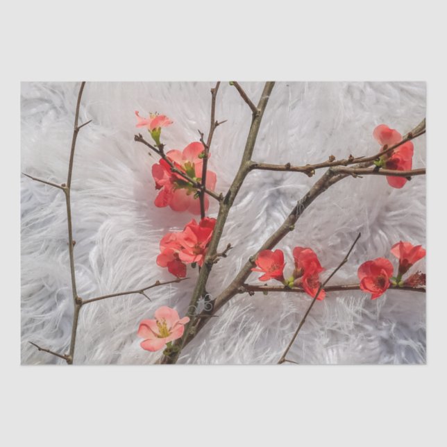 Papier Mousseline Sakura (Recto)