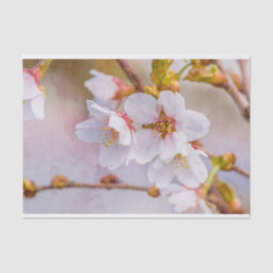 Papier Mousseline Sakura - Fleur de cerisier japonaise