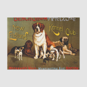 Papier Mousseline Salon de banc. Kennel Club de la Nouvelle-Angleter