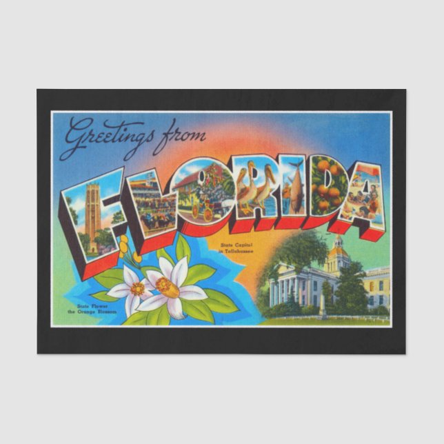 Papier Mousseline Salutations de Floride Tissue Paper (Recto)