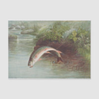 Samuel Kilbourne | Truite de ruisseau Leaping - 18