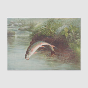 Papier Mousseline Samuel Kilbourne Truite de ruisseau Leaping - 18