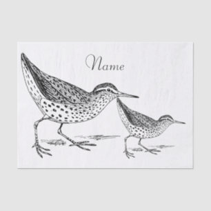 Papier Mousseline Sandpiper Shorer Thunder_Cove