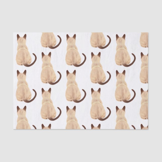 Papier Mousseline Sasha Siamese Amoureux des chats Kitty regardant l (Recto)