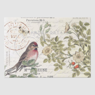 Papier Mousseline Sauvage Carte Rose Postale Songbird French Script
