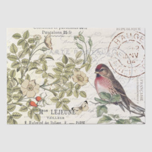 Papier Mousseline Sauvage Carte Rose Postale Songbird French Script